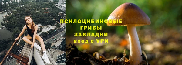 кокс Дмитровск