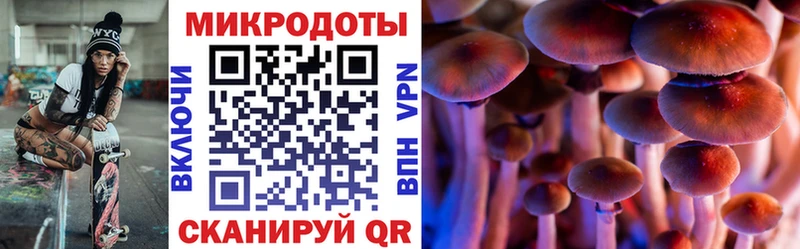 Галлюциногенные грибы Magic Shrooms  Саранск 
