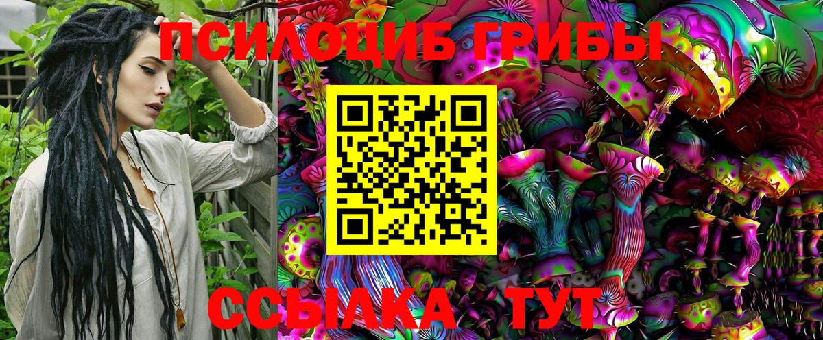 Псилоцибиновые грибы MAGIC MUSHROOMS Саранск